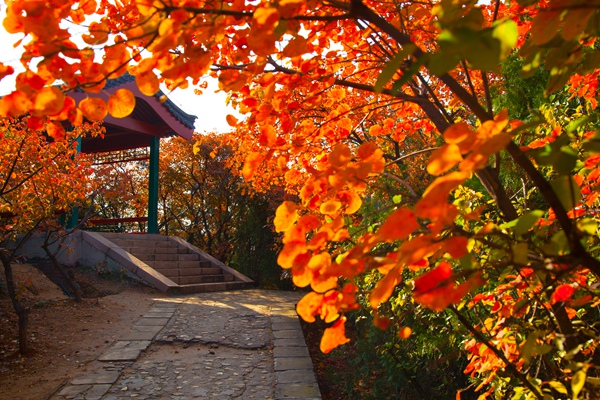 2018年10月 红螺寺