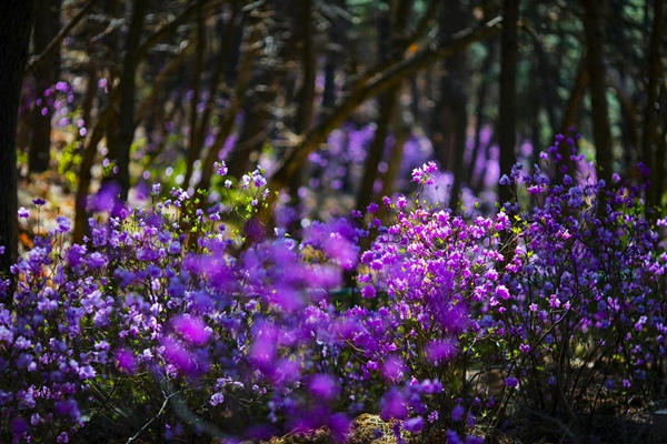 古人口吐芬芳(3)